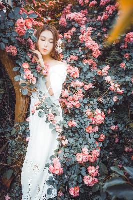 韩剧在线高清观看