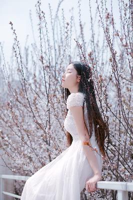 抱胁双男主免费观看泰剧全集