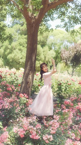 继续播放上次观看的短片内容